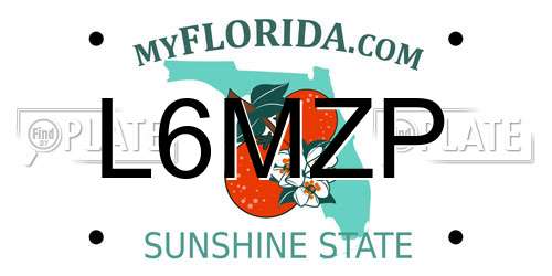 L6MZP Florida License Plate
