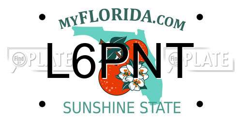 L6PNT Florida License Plate