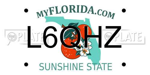 L6QHZ Florida License Plate