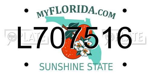 L707516 Florida License Plate