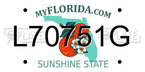 L70751G Florida License Plate