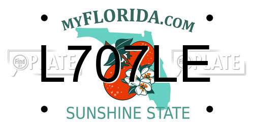 L707LE Florida License Plate