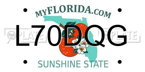 L70DQG Florida License Plate