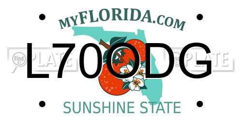 L70ODG Florida License Plate