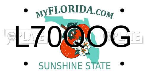 L70QOG Florida License Plate