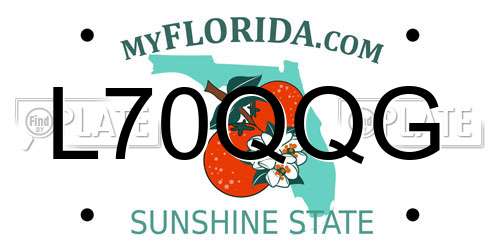 L70QQG Florida License Plate