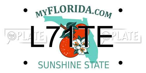L71TE Florida License Plate