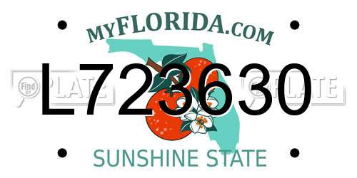 L723630 Florida License Plate