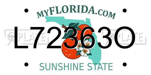 L72363O Florida License Plate