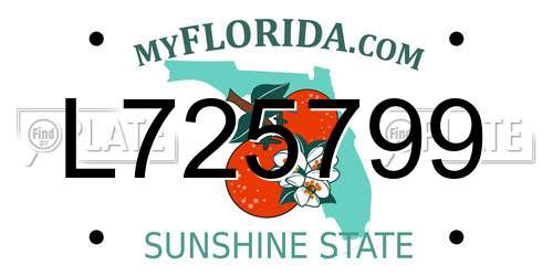 L725799 Florida License Plate