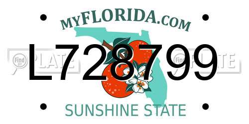 L728799 Florida License Plate