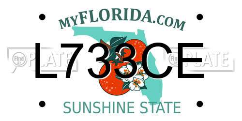 L733CE Florida License Plate