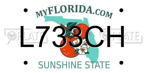 L733CH Florida License Plate