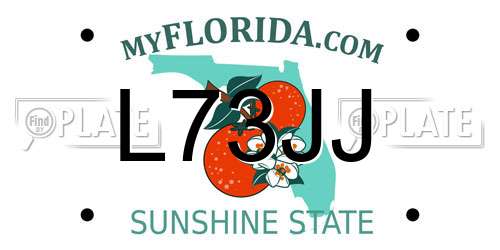 L73JJ Florida License Plate