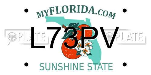 L73PV Florida License Plate