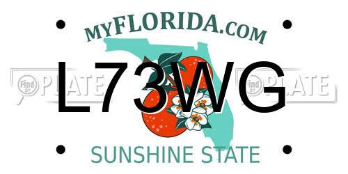L73WG Florida License Plate