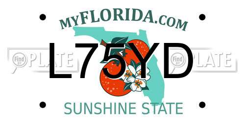 L75YD Florida License Plate