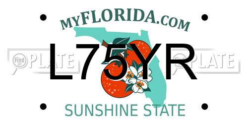 L75YR Florida License Plate