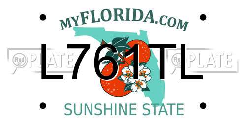 L761TL Florida License Plate
