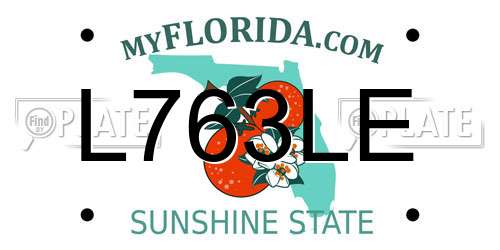 L763LE Florida License Plate