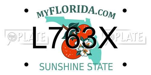 L763X Florida License Plate