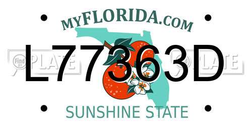 L77363D Florida License Plate