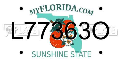 L77363O Florida License Plate