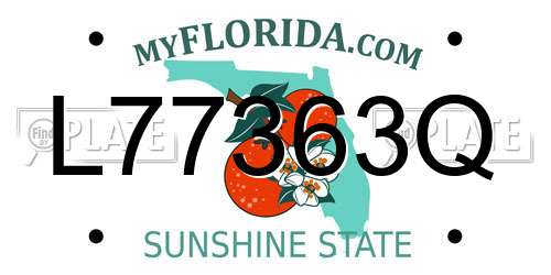 L77363Q Florida License Plate
