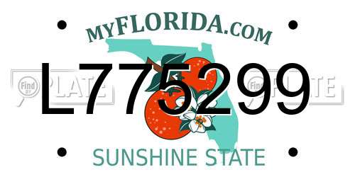 L775299 Florida License Plate