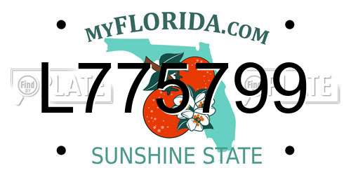 L775799 Florida License Plate