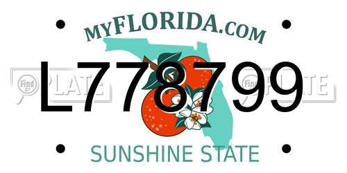 L778799 Florida License Plate