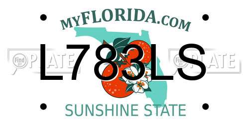 L783LS Florida License Plate