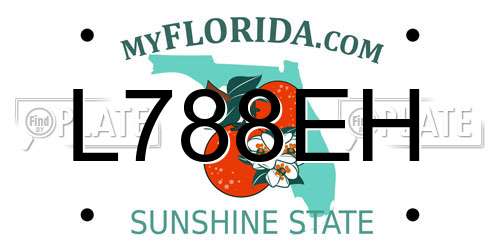 L788EH Florida License Plate