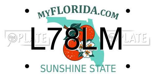 L78LM Florida License Plate