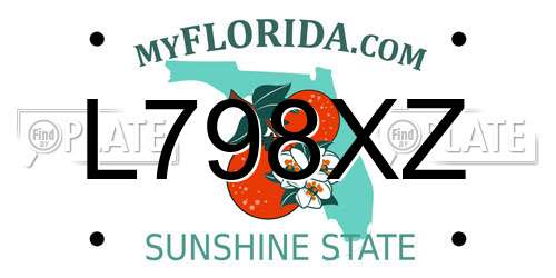 L798XZ Florida License Plate