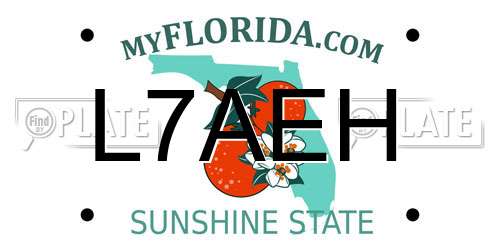 L7AEH Florida License Plate