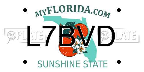 L7BVD Florida License Plate