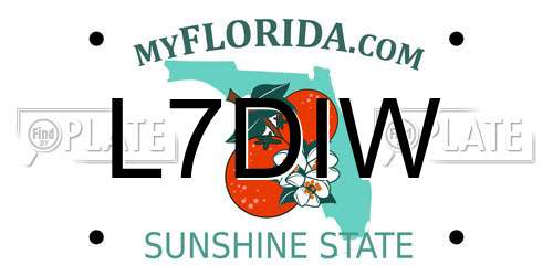 L7DIW Florida License Plate