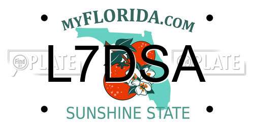 L7DSA Florida License Plate