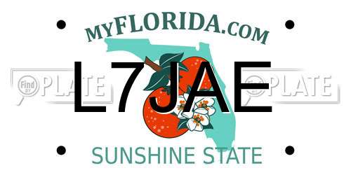 L7JAE Florida License Plate