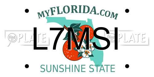 L7MSI Florida License Plate