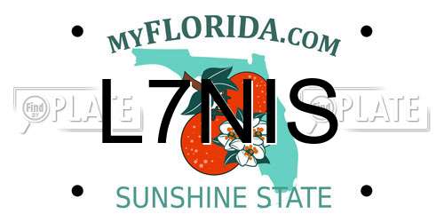 L7NIS Florida License Plate