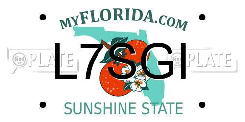 L7SGI Florida License Plate
