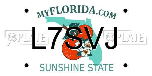 L7SVJ Florida License Plate