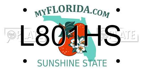 L801HS Florida License Plate