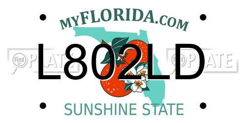 L802LD Florida License Plate