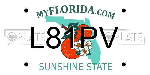 L81PV Florida License Plate