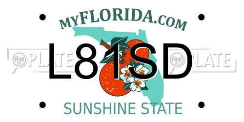 L81SD Florida License Plate