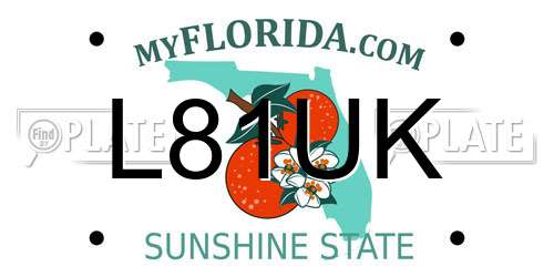 L81UK Florida License Plate
