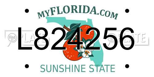 L824256 Florida License Plate